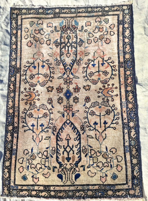 A delicious little Sarouk Farahan from early 20th century. Artistic cool design. 
Good condition. The apricot dye is hot

70x47 cm

             