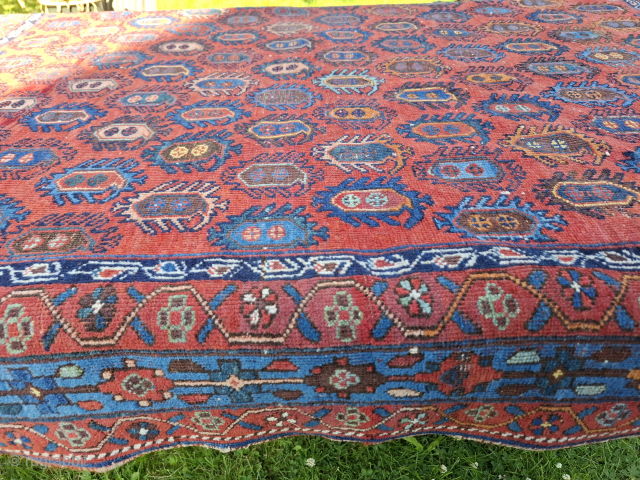 Persian Afshar from 1920's with multicolored Scorpion botehs.
Both ends have to be secured and someother minor issues

131x156 cm

200 euro plus shipping 
           