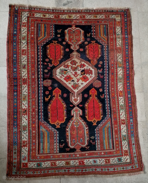Antique Shikli Kazak rugs                             