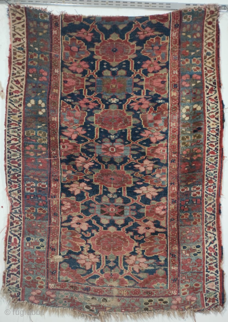 Antique Savojbolagh Kurdish rugs fragment