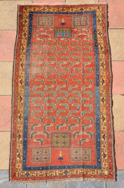 Kurdish rug 19th century
226 x 123 cm                          