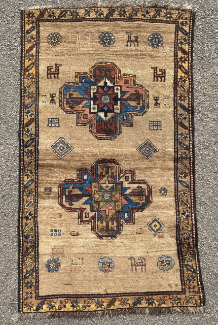 Extremely Rare and Classic Kurdish rug 19th Century 
Size is 173 x 100 cm                   