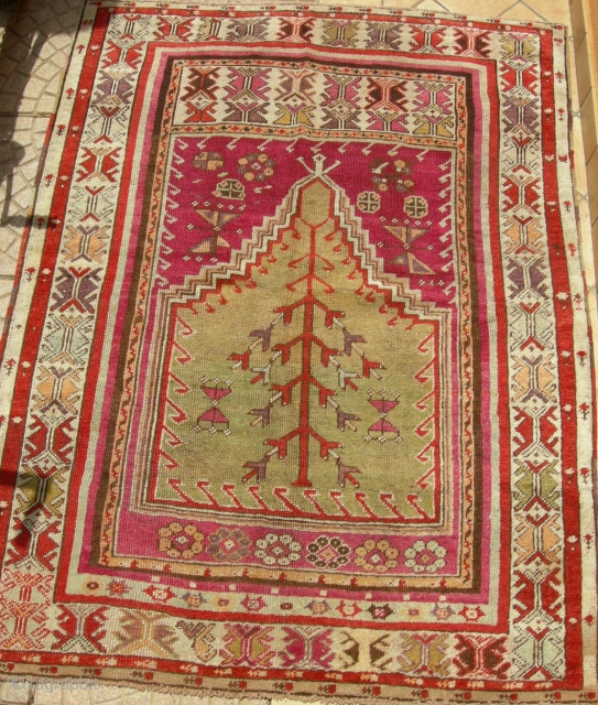 Antique anatolian prayer rug cm 150 x 115                         