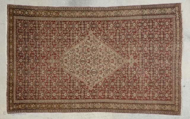 Antique 19th century Senneh / Senna Persian rug. Beautiful soft colors including a pistachio green and pale yellow, which are typical from this time period. Border has a muted yellow background with  ...
