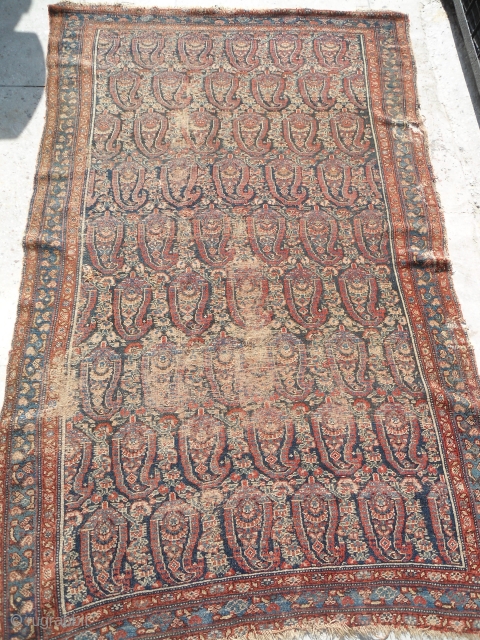 antique senneh rug 
19th century rug
4 ft x 7 ft                       