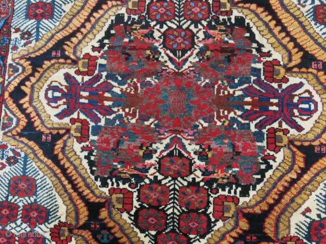 Baktiari main carpet, fine wool with full pile on cotton, circa 1900 or earlier size: 153" X 73"  -- 398 cm X 152 cm        