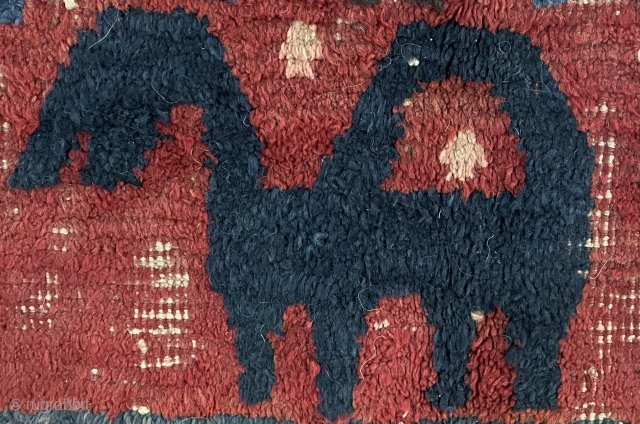 a unique rug                              