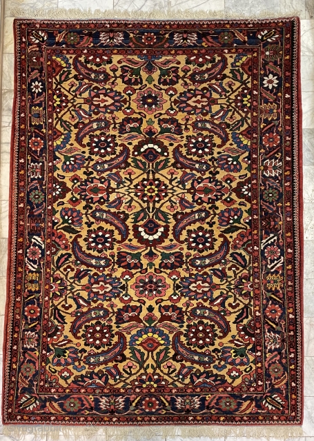 An exceptionally perfect Bahtiyar carpet to be one-of-a-kind. Size 217x157cm                       