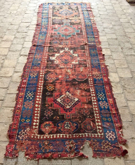 Kochan  Kurdish Carpet circa 1820 size 280x125cm                         