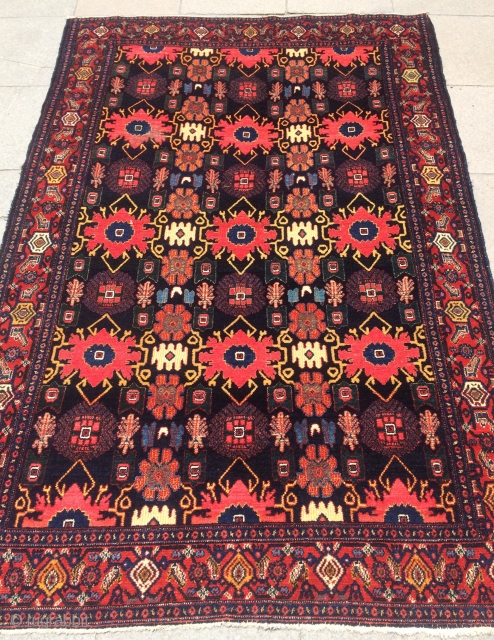 Kurdish sine carpet size 205x137cm                            