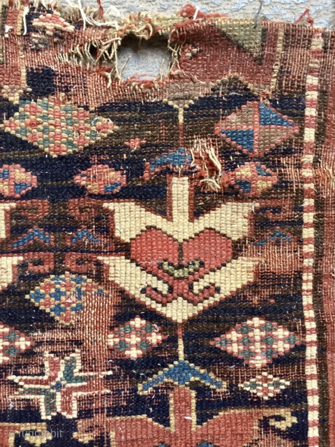 Kurdish Fragmand carpet                              