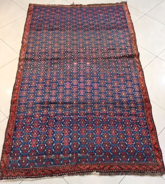 Shahsavan Rug size 205x124cm                             