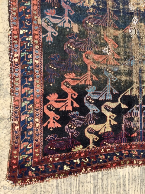 Persian Kurdish carpet size 365x195cm                            