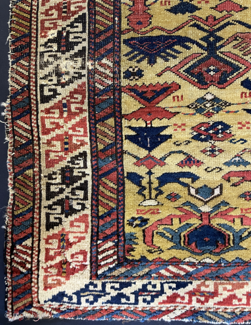 Kuba Shirvan rug - sanli-veysel@hotmail.com                            