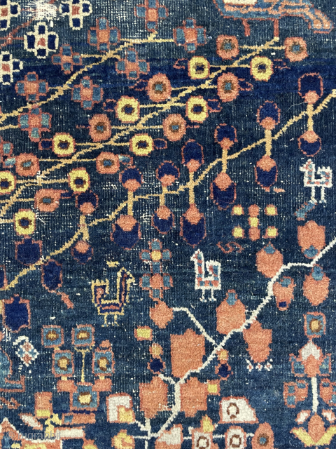 Afshar rug tree of life size 140 x 120 cm                       
