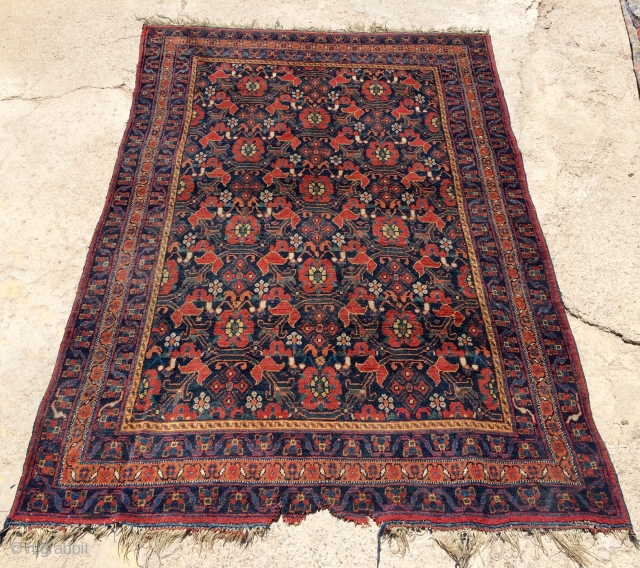 Avşar Carpet size 196 x 132cm                           