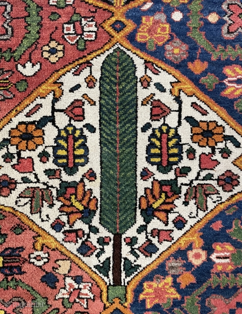 Bahtiyar Carpet size 200x160cm                             