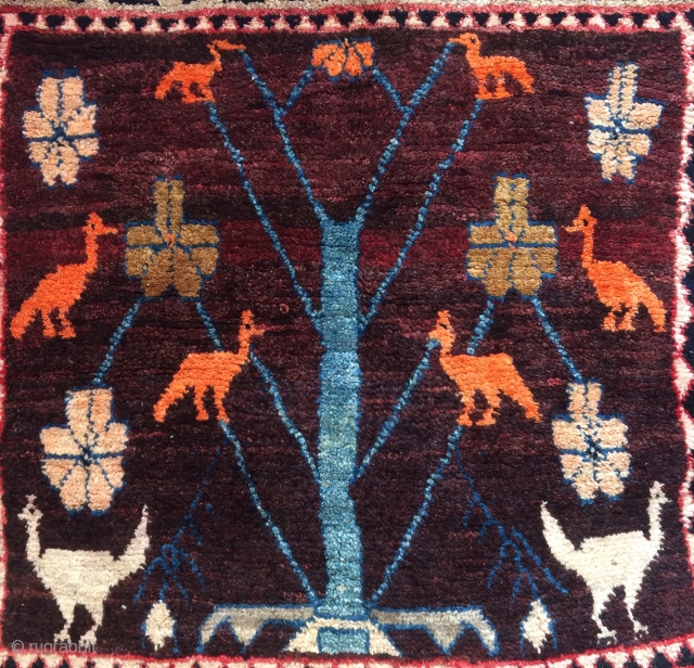 Qhasgai tree of life carpet size 75x75cm 1950s                         