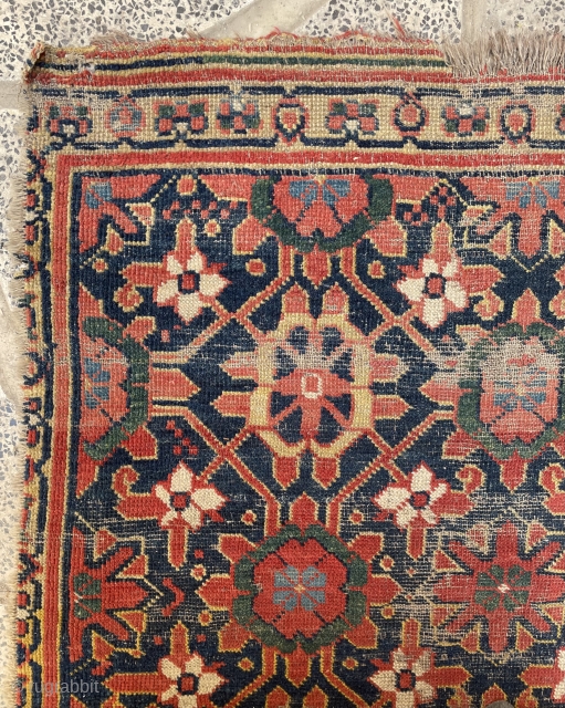 Beshir main carpet size 320x176cm                            