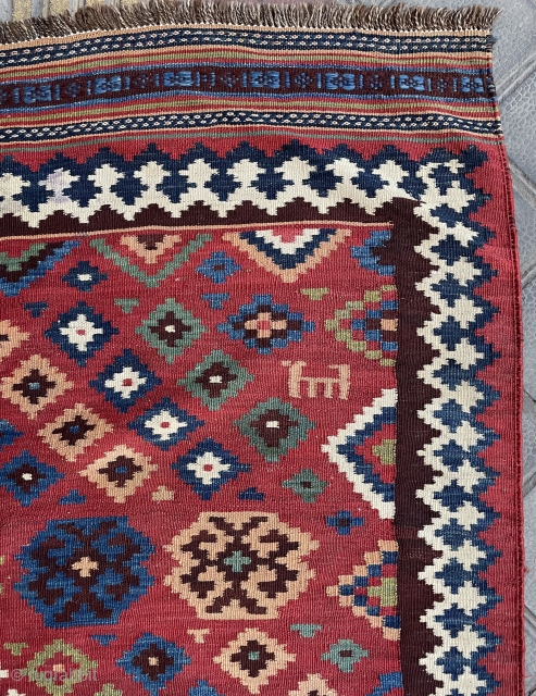 Qhasgia kilim size 260x160cm                             