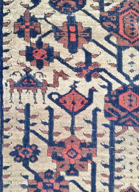 Beluch Carpet                               