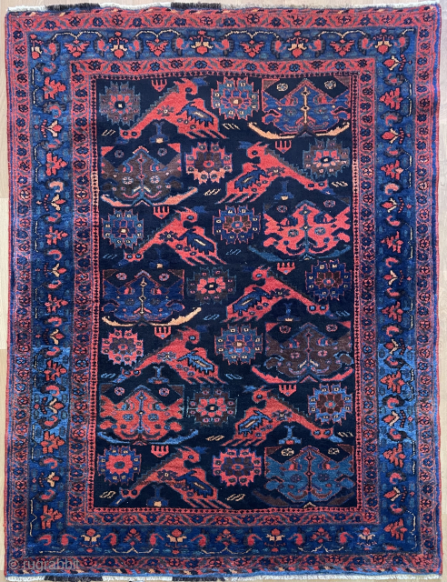 Avshar rug                               