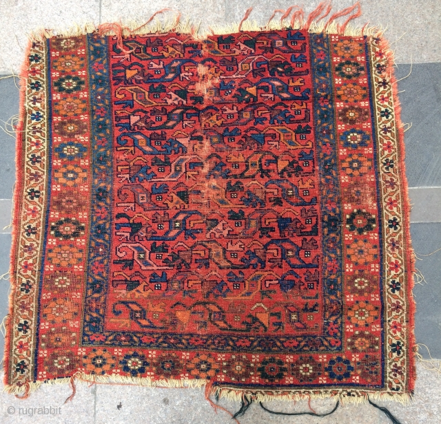 Persian very old Kurdish fragmant rug size 112x120cm                         