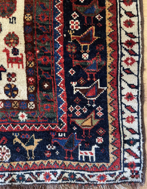 Qashqai is an incredibly  rug size 270 x 160 cm                      