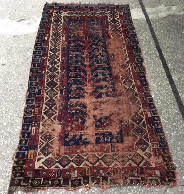 Rare tree off life Qhasgai carpet very old . Size 287x137cm                      