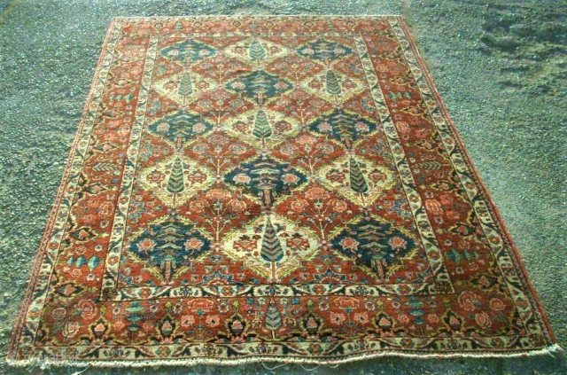 Bachtiar rug. Size: 144 x 210 cm. Used. All natural colors.                      