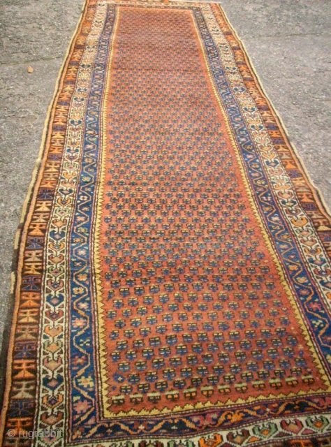 Old special runner. Size: 130 x 382 cm. Wool on wool. North-West Persia.                    