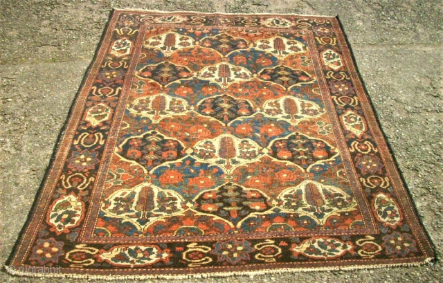 antique Bachtiari. Size: 146 x 191 cm. Organic Colors. Fine knotting. Thin pile.                    