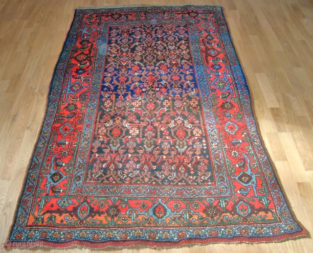 Very old Bidjar. Kurdish rug. Size: 210 x 119 cm. Full pile. Best quality of wool. foundation also wool. Nice colours.            