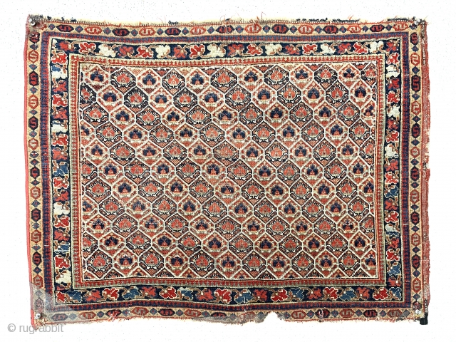 Antique large early south Persian bagface, possibly qashqai. Lovely example of an uncommon type. Nice fine weave. Soft supple handle. All excellent natural colors. Mostly decent even pile with scattered wear as  ...