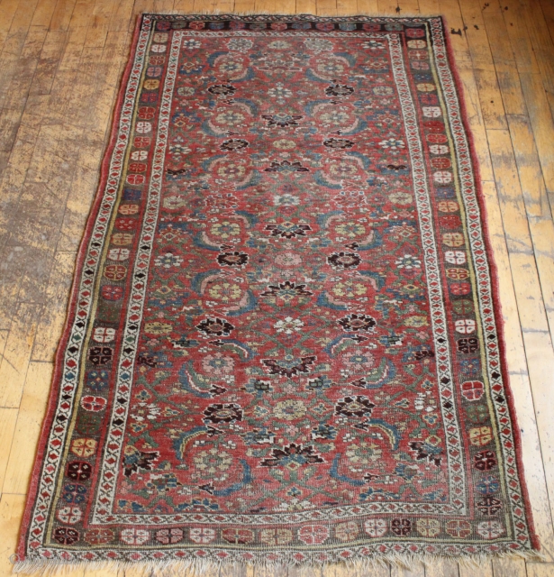 antique kurd bijar rug. Nice honest older floor rug with classic herati field. "as found", low pile with wear and brown oxidation as shown. With nice thick weave that even with wear  ...