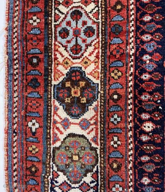 Antique Afshar rug with first rate color and bold eye catching drawing. The weaver paid great attention to the beautifully colored borders, even adding extra border panels at top and bottom. All  ...