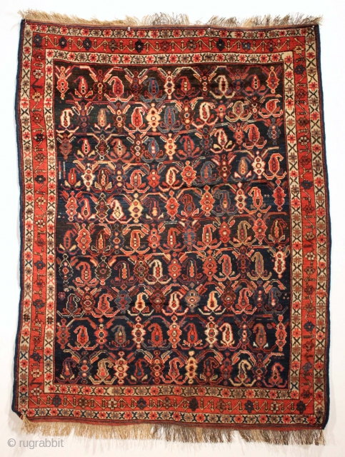 Antique Afshar rug with classic design and good "as found" New England house condition.  Good meaty pile with all natural colors. All wool. A couple of spots needing easy repair (now  ...