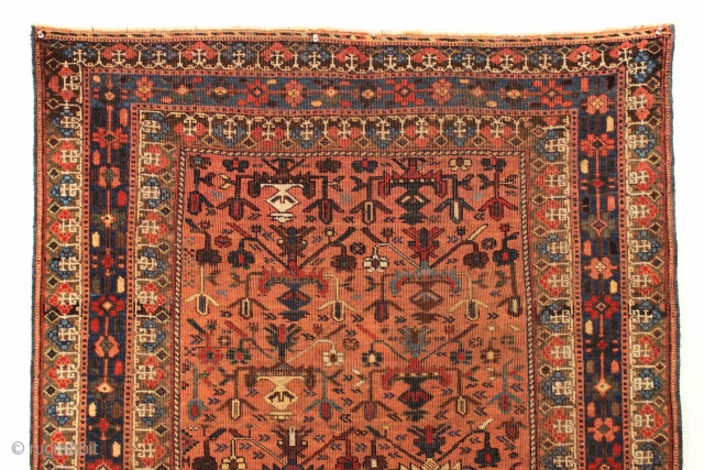 Antique Afshar rug. Terrific design. All wool. All good natural colors. Some good pile. Some very low pile. No repairs. Good age. Ca. 1880 rug. 3' 9" x 5' 2"
   