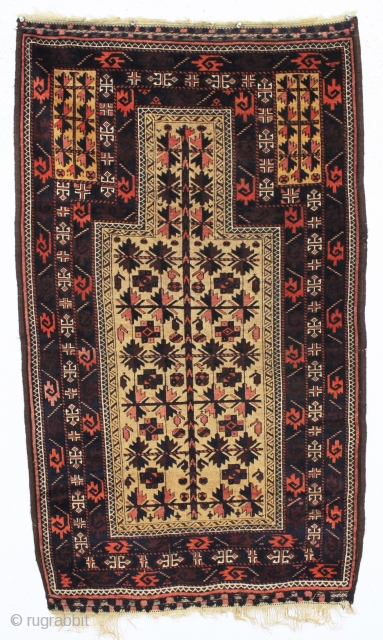 antique baluch camel ground prayer rug in outstanding condition with some interesting design features. Eye catching curled leaf minor borders and a very unusual main border. Clean with overall very good even  ...