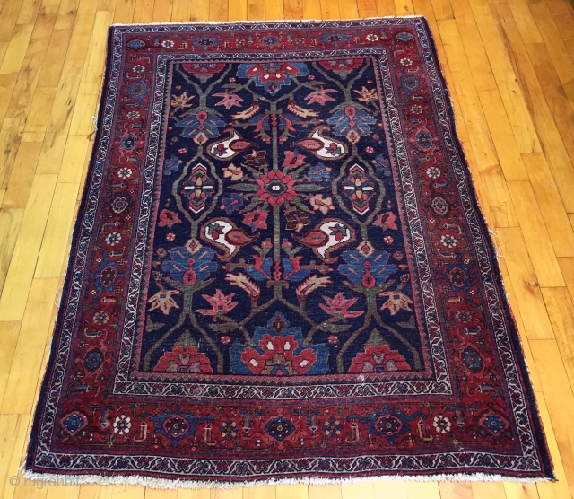 Old Bidjar rug with classic design. Beautiful colors and nice size. As found from local home with overall low pile. Original selvages, unraveling a bit. Reasonably clean. Not high pile but still  ...