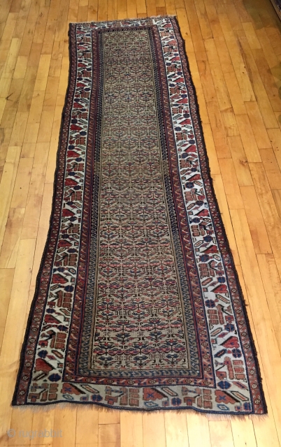 Older northwest Persian or Kurdish runner with camel ground. Overall fair condition with overall even low pile. Good colors. Interesting ivory main border. Little wider at one end. Little wiggly but reasonably  ...