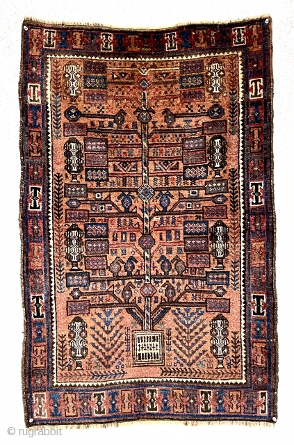 Antique small Baluch rug with a version of this spacious “tree in a vase” design. The unusual aspect of this rug is the diminutive size, probably 1/2 - 2/3 the size of  ...