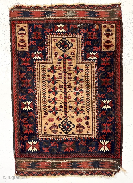 Antique Baluch camel ground prayer rug with spacious drawing and unusually saturated colors. As good an ember red as I have seen. Iconic tree of life flanked by narrow floral motifs and  ...