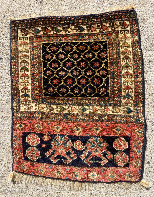 Antique Persian tribal Bagface with an unusual design and full thick pile. Delicate yellow ground lattice field and attractive elem or skirt panel. Good old colors. Reasonably clean. 19th c. 23” x  ...