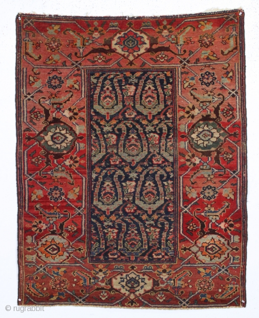 antique little malayer rug. I don't buy many persian rugs but this one I like very much. "As found", very dirty with fair even pile. Elegant. ca. 1900? 3'2" x 4'   ...