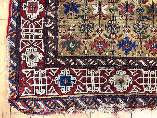If only the entire rug was like this. Early east Caucasian long rug with lovely deep yellow ground. Unfortunately areas of very heavy wear and damages. Edges all rough as shown. Soft  ...