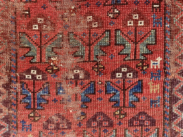 Spring cleaning. Old northwest Persian or Kurdish rug. Yes it’s very worn. Been here long time. I like the charming border with what I see as bird houses (I may be alone  ...