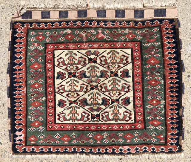 Antique ivory ground northwest Persian bagface with an unusual field design. Photos taken as woven, probably upside down. The little checked floral motifs are quite eye catching. Pretty green border. Overall even  ...