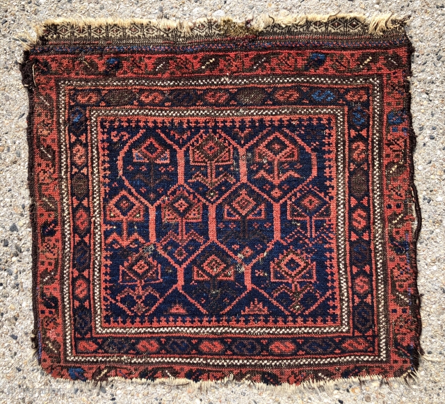 Antique little Baluch bagface with classic lattice and inset flowering plants. Better than average drawing and natural colors for this well known type. Excellent light blues and attractive reds. Unfortunately in somewhat  ...