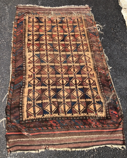 Antique camel ground Baluch rug with a bold and Interesting design of five large stylized tree motifs. Overall even low pile with some scattered wear, creases and a small hole near one  ...